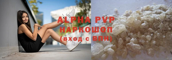 индика Алексин