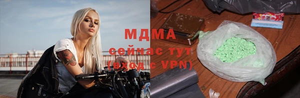 индика Алексин