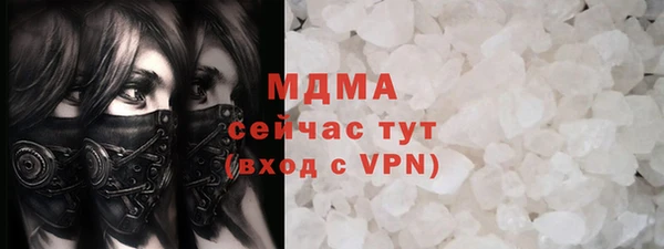 индика Алексин