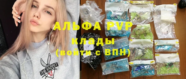 индика Алексин