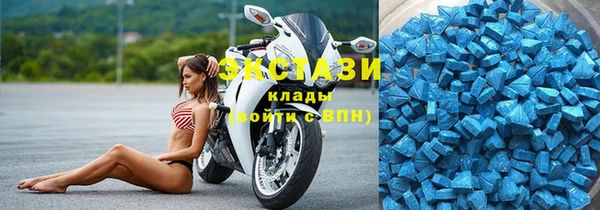 индика Алексин