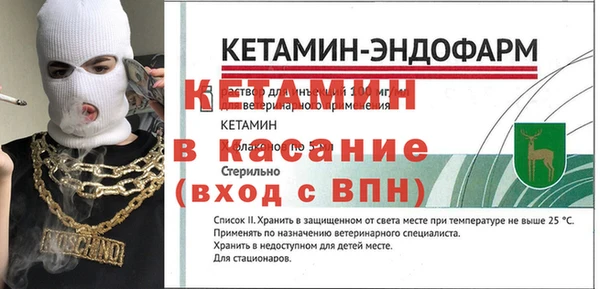 индика Алексин