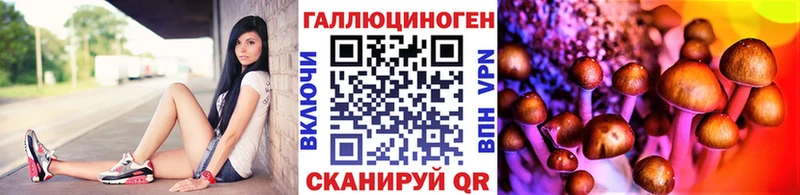 Псилоцибиновые грибы Cubensis  Лянтор 